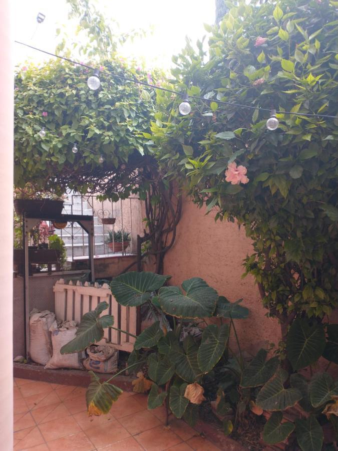 Relax Apartment Mexico City Exterior photo